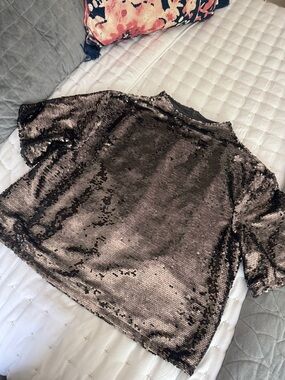 ZARA Deep Silver Taupe Sequin Short Sleeve Top
